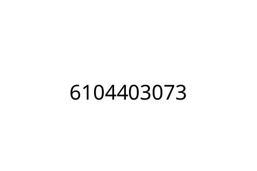 6104403073