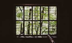 childrens toys made from prokaihaz