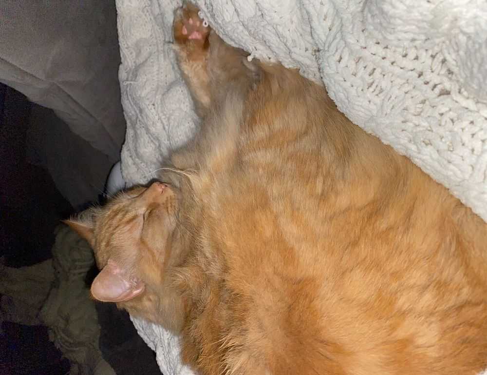 game version lightniteone pc