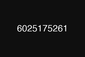 6025175261