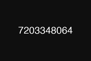 7203348064