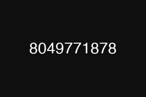 8049771878