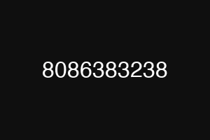 8086383238
