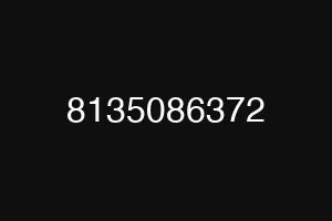 8135086372