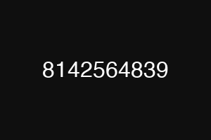 8142564839