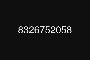8326752058