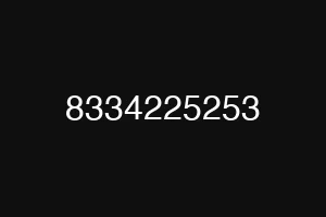8334225253