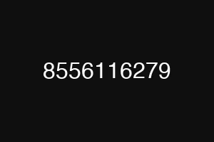 8556116279