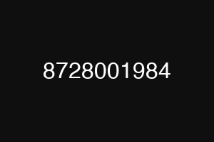 8728001984