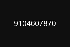 9104607870