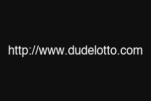 http://www.dudelotto.com