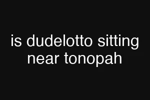 is dudelotto sitting near tonopah